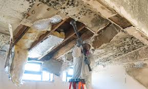 Mold Remediation for Vacation Homes in Everson, WA